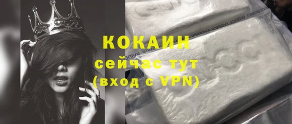 ПСИЛОЦИБИНОВЫЕ ГРИБЫ Мостовской