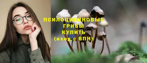 тгк Дмитров