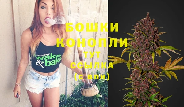 тгк Дмитров