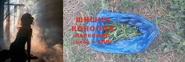 тгк Дмитров