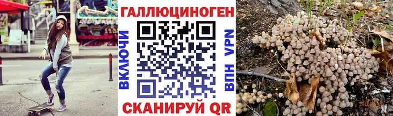 Галлюциногенные грибы Psilocybe магазин Емва